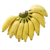 Baby Banana